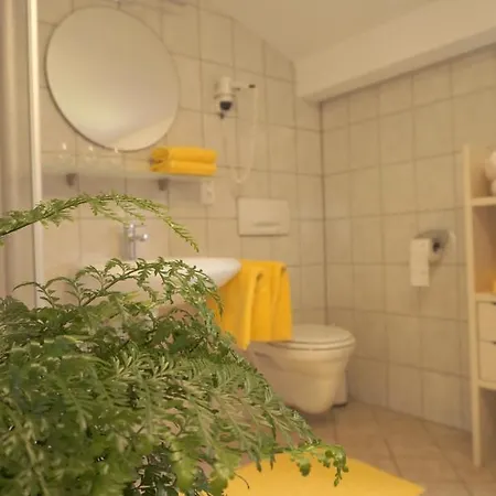 Woelzenberg Alm * 라이스임알바흐탈