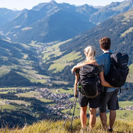 Daire Woelzenberg Alm Reith im Alpbachtal